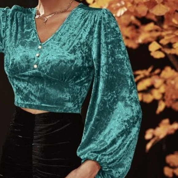 Cadet Blue V Neck Long Sleeves Velvet Blouse in M and L - Picture 3 of 3